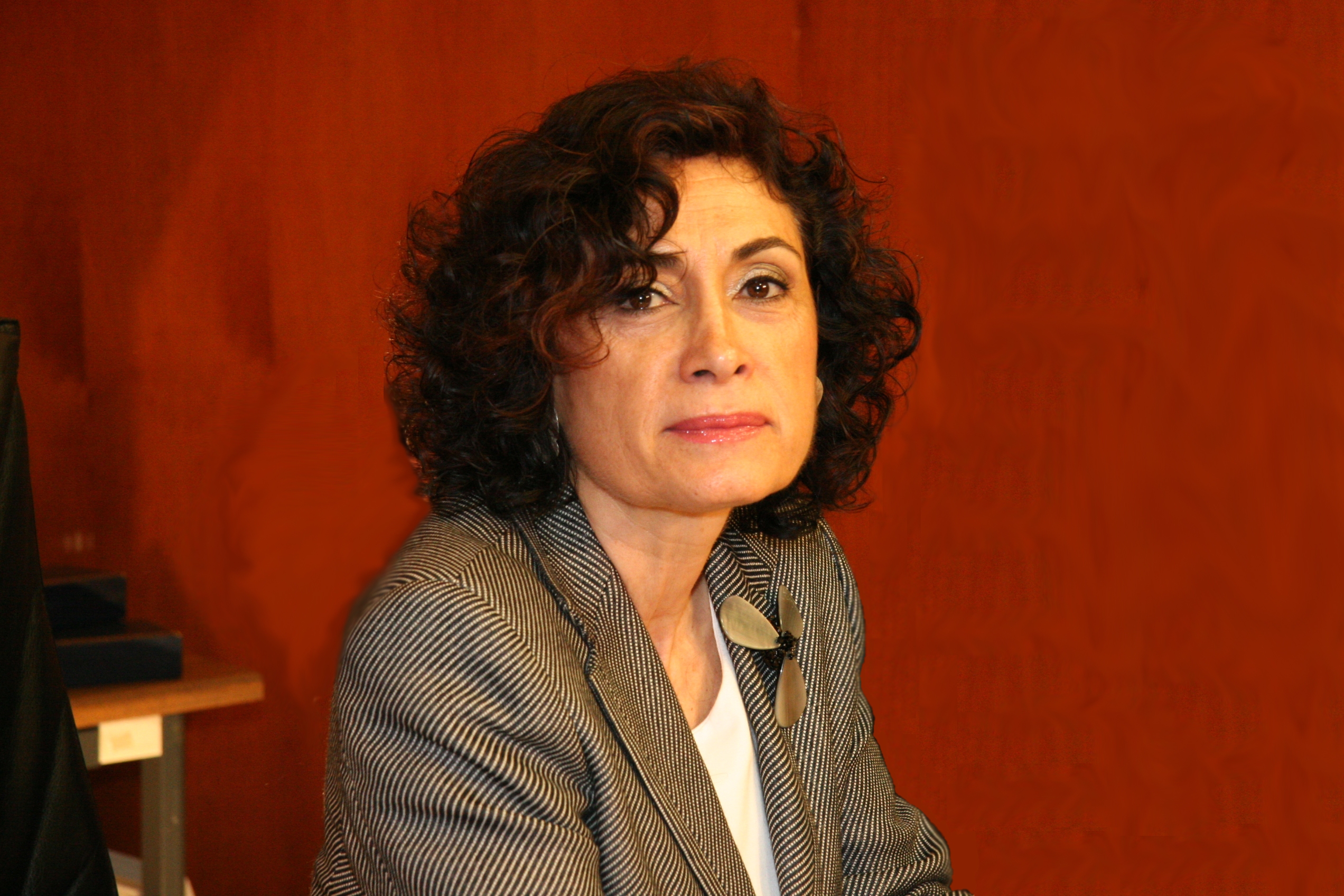 Carmen Moya Delegada del Gobierno para el Plan Nacional sobre Drogas
